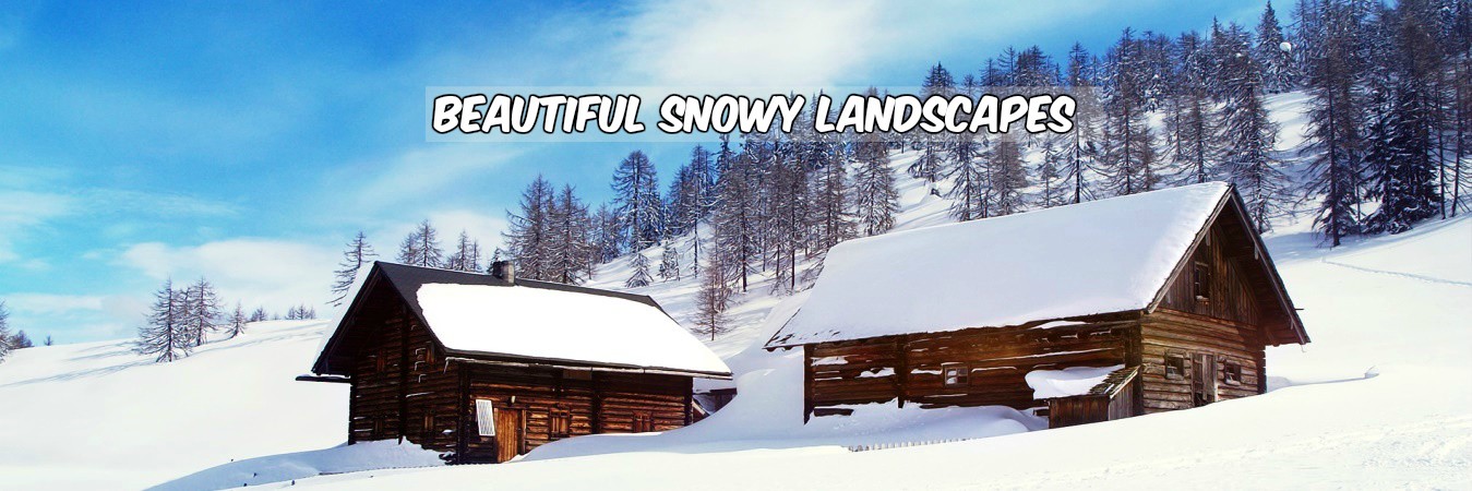 Beautiful Snowy Landscape