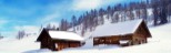 Beautiful Snowy Landscape